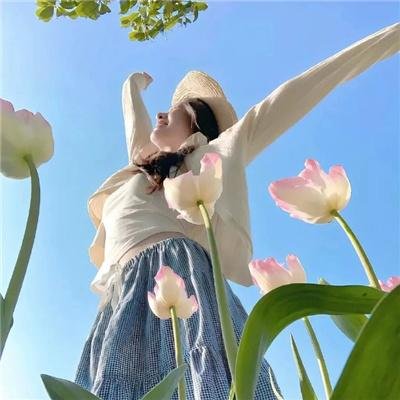 神侠闹金銮粤语